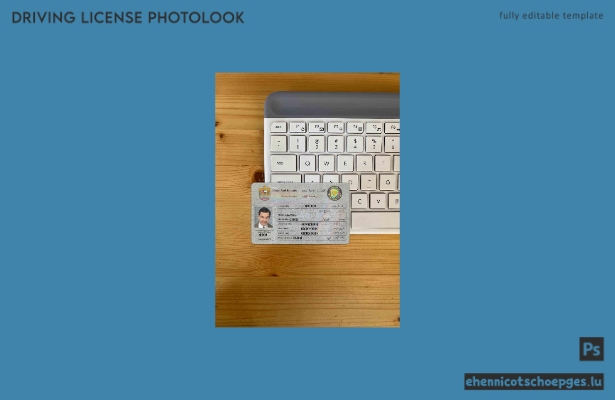Vorschau eines Fotolooks für den Führerschein der VAE